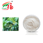 Cosmetics Herb Extract Powder Vine Tea 90% Dihydromyricetin Extract