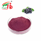 Blueberry Anthocyanin Extract Powder 5% Anthocyanidins For Food Additive