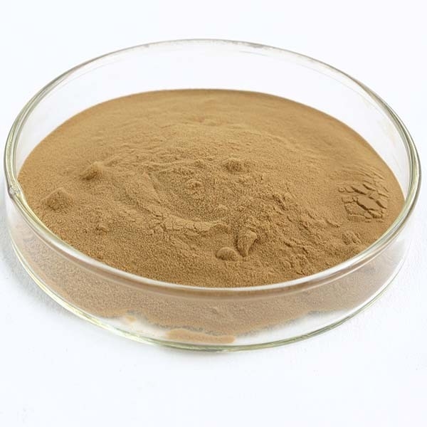 Coriolus Versicolor Estratto 10%~50% Polisaccridi PSK PSP Coda di tacchino Estratto di funghi