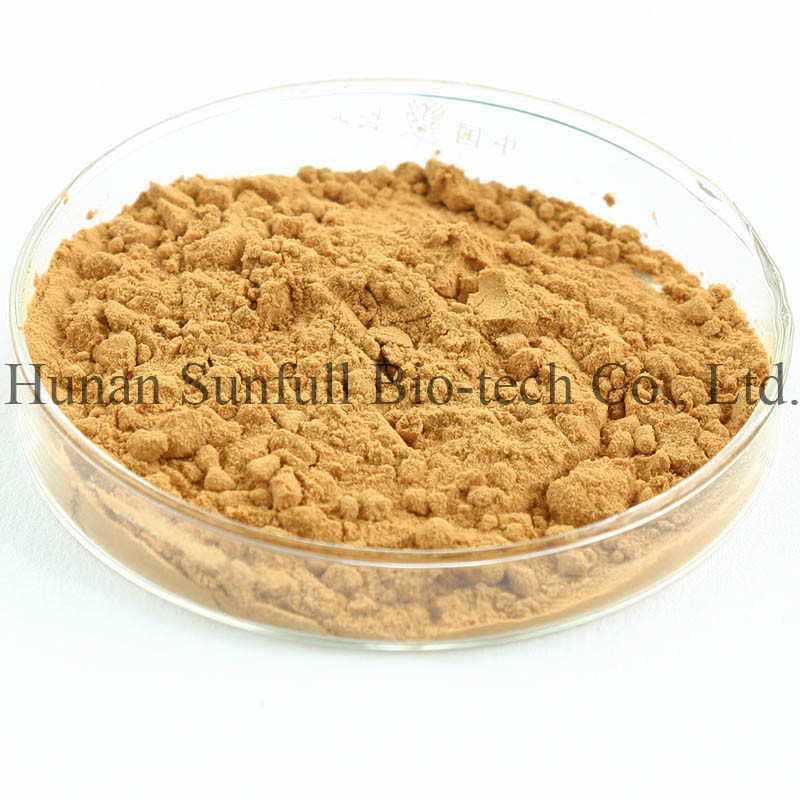 Estratto di cardo di latte naturale al 100% in polvere da semi di Silybum Marianum per la crescita delle cellule epatiche
