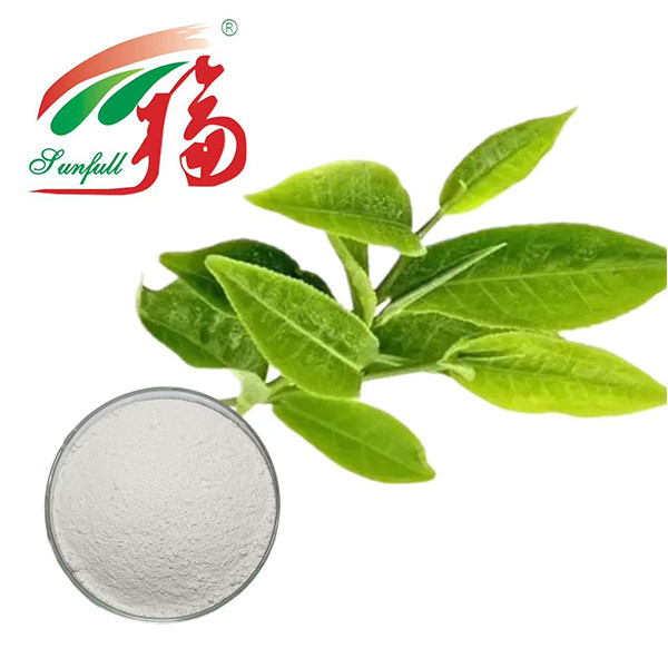 Potere antiossidante assoluto! 98% EGCG Estratto di tè verde - Lo scudo della natura per la vitalità