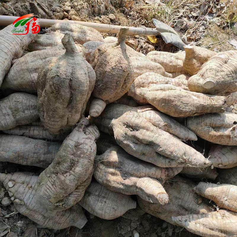 Estratto di radice di Kudzu naturale dalla fabbrica cinese Puerarina con 25% 60% 98% per opzione