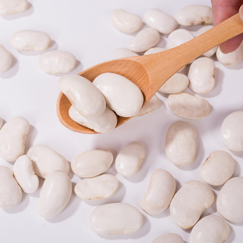 Estratto di fagioli bianchi (Phaseolus vulgaris) di alta qualità - Inibitore dell'α-amilasi di alta purezza per la gestione del peso e dello zucchero nel sangue