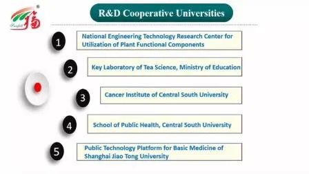 Estratto di Coprinus Comatus Naturale in Polvere con 50% Polisaccaridi, Granulometria 80 Mesh e Durata di 2 Anni