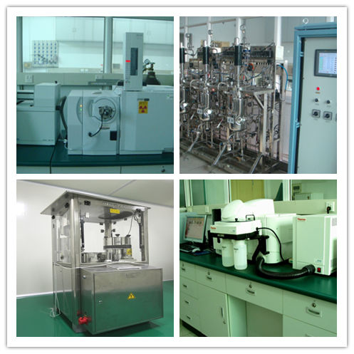 Cordyceps funghi in polvere 80 mesh per il supporto immunitario 25 kg tamburo