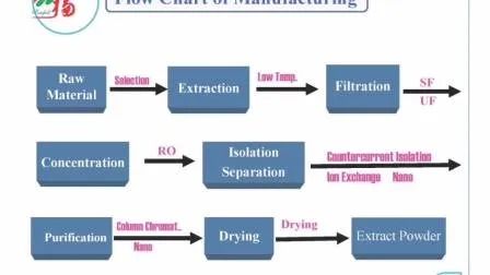 Polvere gialla fine marrone di grado alimentare Estratto di Cordyceps sinensis per prodotti sanitari