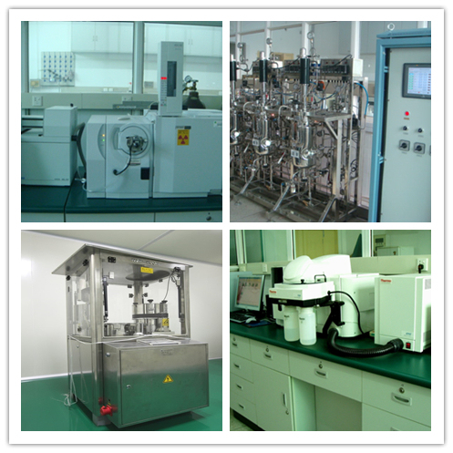 Al dettaglio Polvere di estratto di Armillaria Mellea con capacità produttiva di 20 t/anno Polvere gialla marrone fine e buona solubilità in acqua