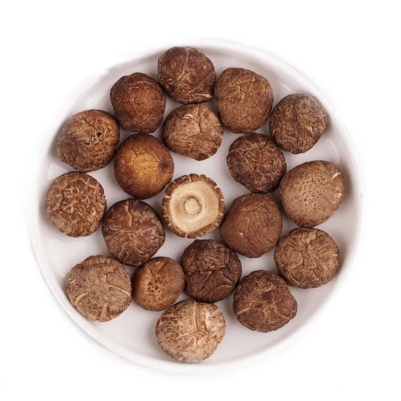 Reishi Mushroom Extract 50% Polysaccharides Fine Brown Yellow Powder for Enhancing Immunity and Liver Protection