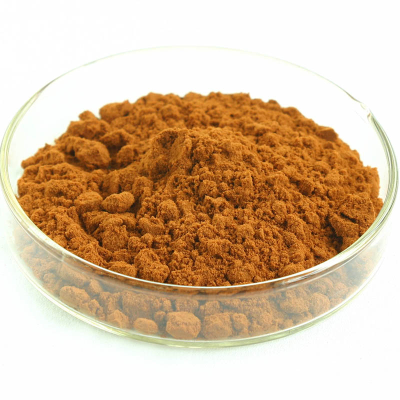 Chaga Mushroom Extract Powder 25kg/Drum 100mt/Year Production Capacity for Health Care Products