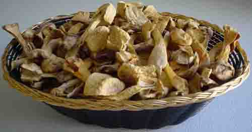 Estratto di Agaricus Blazei in polvere con polisaccaridi al 10% per alimenti funzionali in compresse e capsule