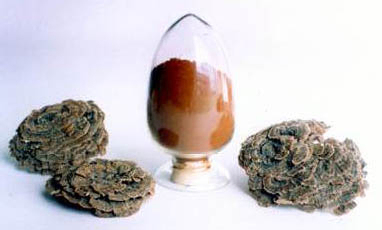 Coriolus Versicolor Extract 30% di polisaccaridi per alimenti funzionali con regolazione dello zucchero nel sangue e riduzione delle mucose