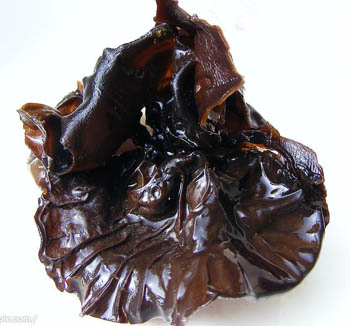 Estratto di fungo nero in polvere con polisaccaridi 20% solubile in acqua per regolare lo zucchero nel sangue e alimenti funzionali ipolipidemici