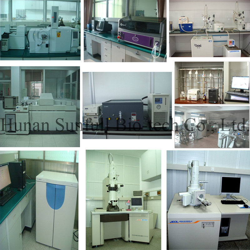 Cloridrato di berberina 97% 98% Polvere cristallina gialla con proprietà antibatteriche e antinfiammatorie di Phellodendron chinense Extract