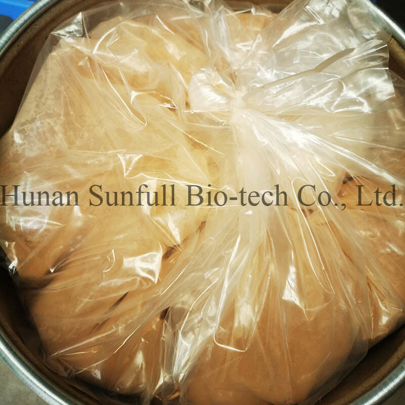 Cloridrato di berberina 97% 98% Polvere cristallina gialla con proprietà antibatteriche e antinfiammatorie di Phellodendron chinense Extract