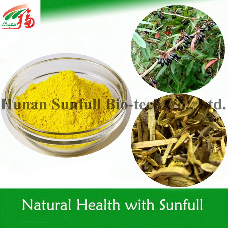 Estratto antibatterico di cloridrato di berberina polvere cristallina gialla della specie Berberis (Barberry) con numero CAS 633-65-8