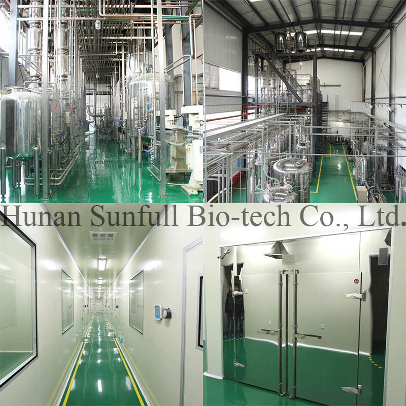 Estratto antibatterico di cloridrato di berberina polvere cristallina gialla della specie Berberis (Barberry) con numero CAS 633-65-8