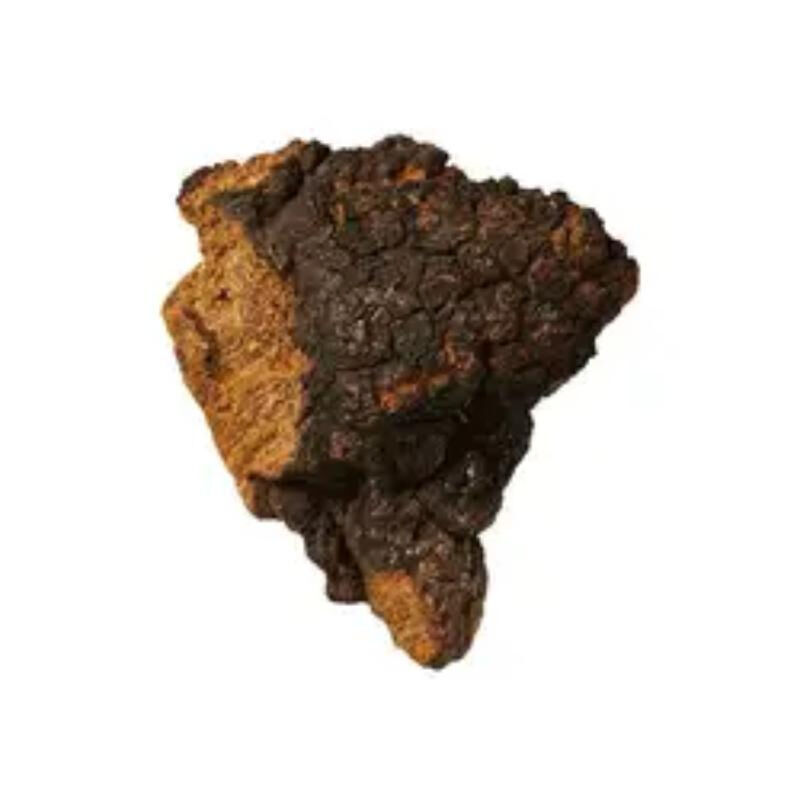 Estratto di Chaga polisaccaridi al 50% per alimenti funzionali per migliorare l'immunità in polvere di estratto di funghi