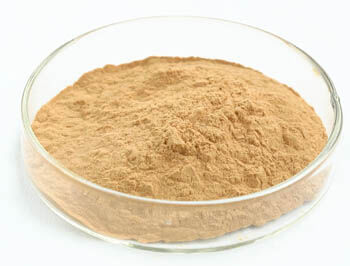 Estratto in polvere di fungo ostrica con 40% polisaccaridi per attività antitumorale e regolazione della glicemia in alimenti funzionali