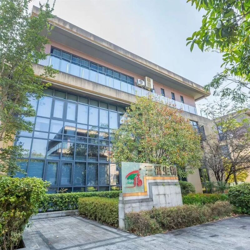 Estratto in polvere di fungo ostrica con 40% polisaccaridi per attività antitumorale e regolazione della glicemia in alimenti funzionali