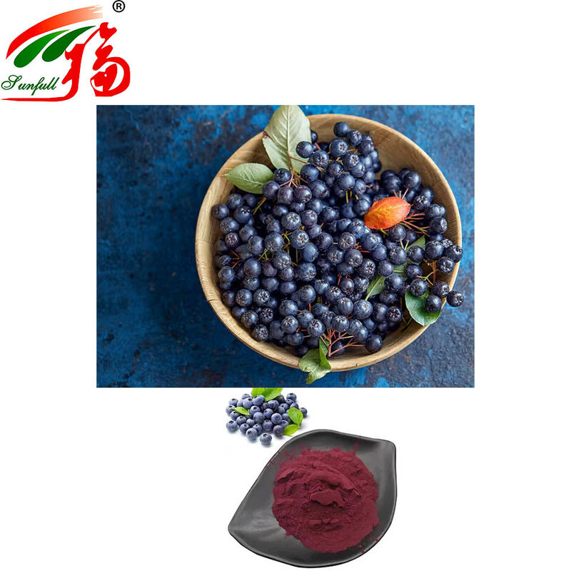Factory Direct Sales Bilberry Extract 25% Anthocyanidins (UV-VIS) for Food and Health Supplements