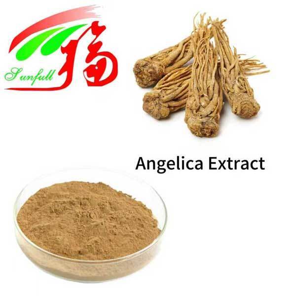 Angelica Extract  1% 1.5% Liguistlide 0.1% 0.3% Ferulic Acid Chinese Dong Quai Extract