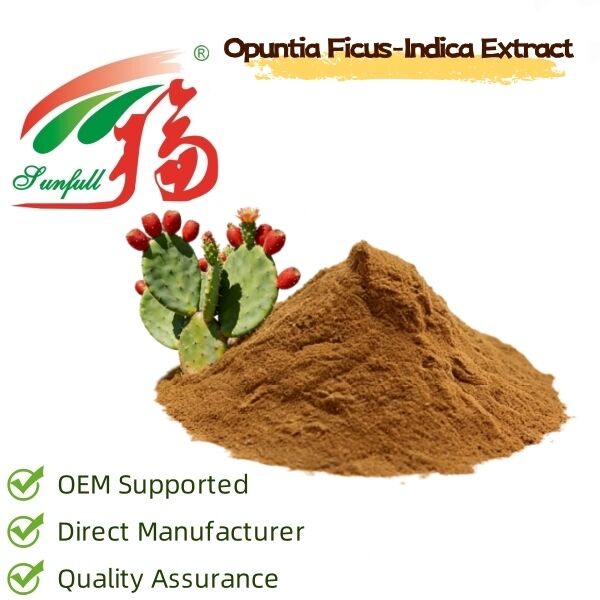 Estratto di cactus (Stagno, frutta e pad) - Estratto vegetale idratante e antiossidante naturale per prodotti per la cura della pelle, cosmetici e funzionali