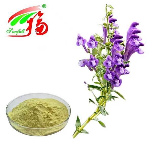 Ingredienti per la cura della salute 10%~95% Baicalin Bacalein Polvere Scutellaria baicalensis Georgi Estratto Radix Scutellariae Estratto Baikal Skullcap Estratto