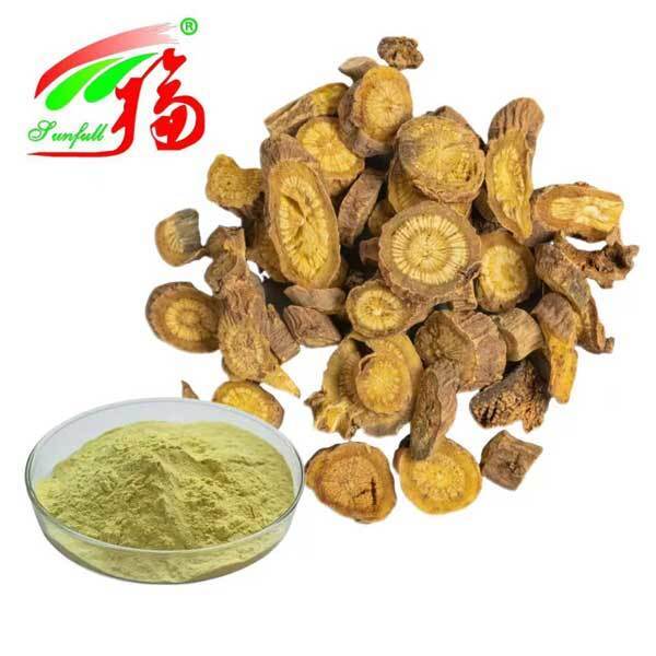 Ingredienti per la cura della salute 10%~95% Baicalin Bacalein Polvere Scutellaria baicalensis Georgi Estratto Radix Scutellariae Estratto Baikal Skullcap Estratto