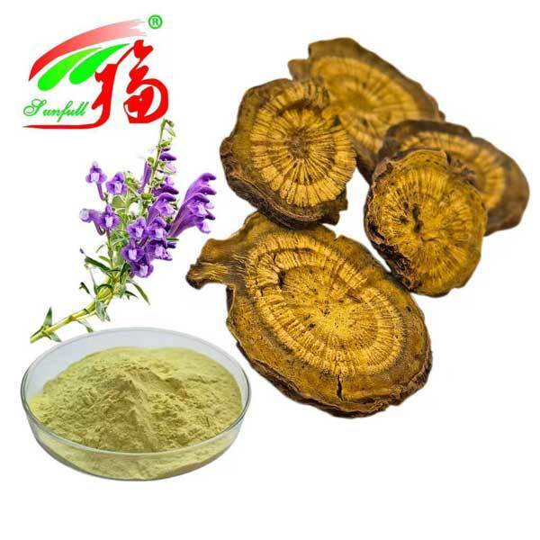 Ingredienti per la cura della salute 10%~95% Baicalin Bacalein Polvere Scutellaria baicalensis Georgi Estratto Radix Scutellariae Estratto Baikal Skullcap Estratto