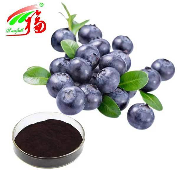 Bilberry Extract 10% 25% Anthocyanidins (UV-VIS) Antioxidant Vaccinium Myrtillus L. Bilberry for Vision Support Supplement