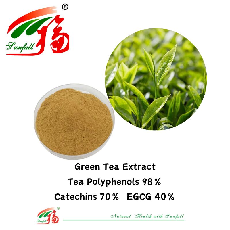 Ingredienti vegetali biologici Hunan Sunfull Teaflavine 10~40% EGCG 40% Catechine 70% Polifenoli del tè 98% Estratto di tè verde