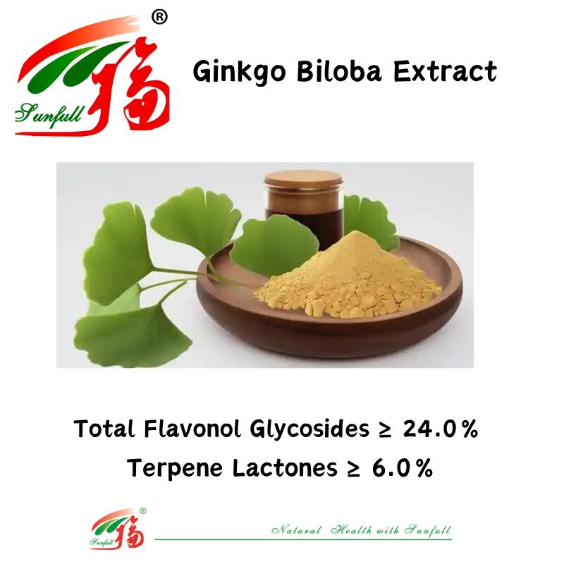 100% naturale idrosolubile 24% ginkgolide Ginkgo Biloba Leaf Extract in polvere per integratori alimentari