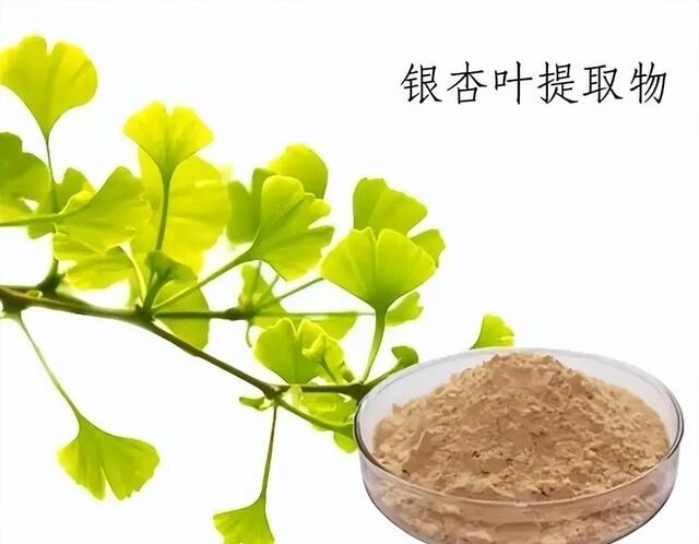 100% naturale idrosolubile 24% ginkgolide Ginkgo Biloba Leaf Extract in polvere per integratori alimentari