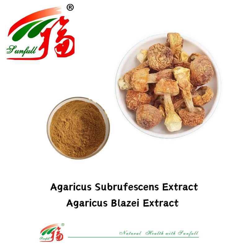 Integratori alimentari Hunan Sunfull Agaricus Subrufescens/Hericium Erinaceus/Antrodia/Cordyceps Sinensis/Coriolus Versicolor/Estratto di funghi in polvere