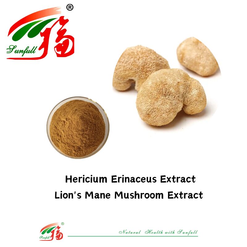 Integratori alimentari Hunan Sunfull Agaricus Subrufescens/Hericium Erinaceus/Antrodia/Cordyceps Sinensis/Coriolus Versicolor/Estratto di funghi in polvere