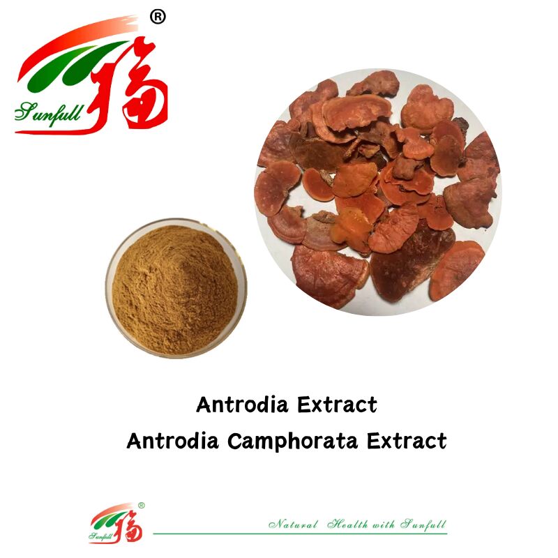 Integratori alimentari Hunan Sunfull Agaricus Subrufescens/Hericium Erinaceus/Antrodia/Cordyceps Sinensis/Coriolus Versicolor/Estratto di funghi in polvere