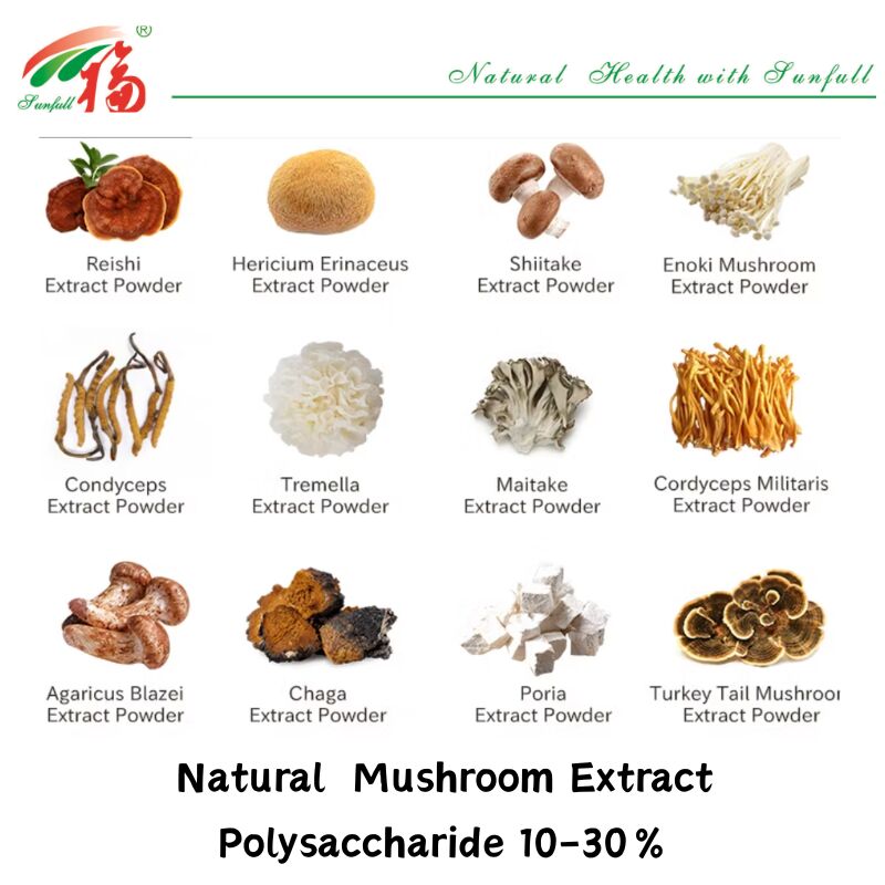 Ingrediente biologico naturale integratori alimentari polisaccaridi 10-30% Phellinus Igniarius/Ganoderma Lucidum/Chaga/Maitake/Shiitake Extract Mushroom in polvere
