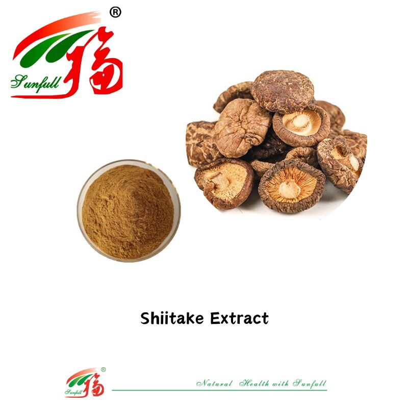 Ingrediente biologico naturale integratori alimentari polisaccaridi 10-30% Phellinus Igniarius/Ganoderma Lucidum/Chaga/Maitake/Shiitake Extract Mushroom in polvere