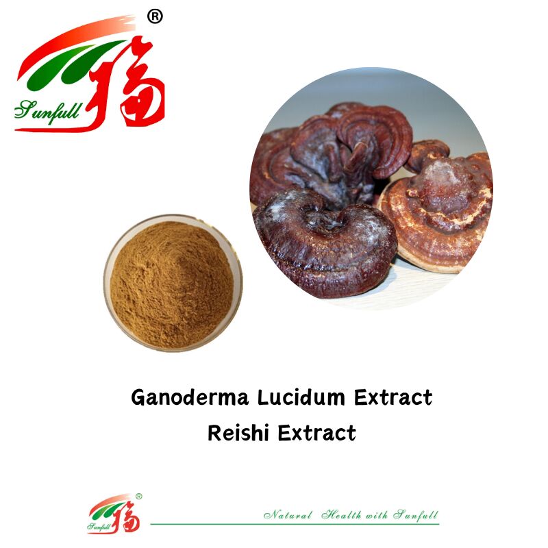 Ingrediente biologico naturale integratori alimentari polisaccaridi 10-30% Phellinus Igniarius/Ganoderma Lucidum/Chaga/Maitake/Shiitake Extract Mushroom in polvere