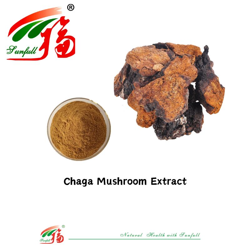 Ingrediente biologico naturale integratori alimentari polisaccaridi 10-30% Phellinus Igniarius/Ganoderma Lucidum/Chaga/Maitake/Shiitake Extract Mushroom in polvere