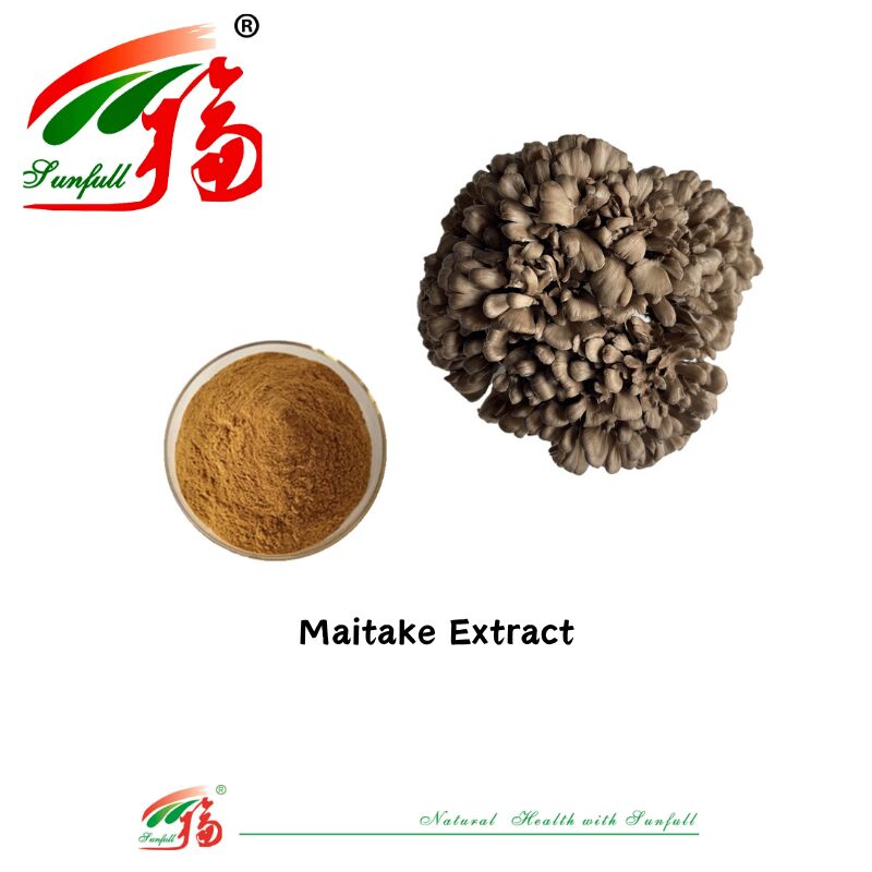 Ingrediente biologico naturale integratori alimentari polisaccaridi 10-30% Phellinus Igniarius/Ganoderma Lucidum/Chaga/Maitake/Shiitake Extract Mushroom in polvere