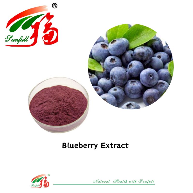 La fabbrica Hunan Sunfull fornisce antiossidanti naturali di alta qualità antociani 1%-25% estratto di mirtillo/sambuco/bacca di acai/ribes nero/mirtillo