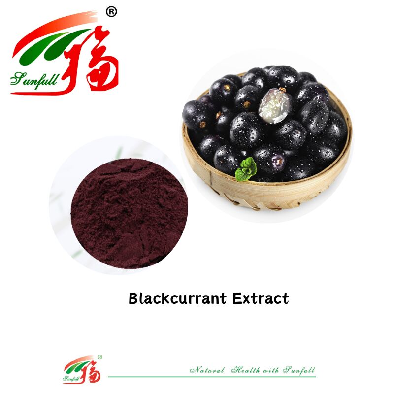 La fabbrica Hunan Sunfull fornisce antiossidanti naturali di alta qualità antociani 1%-25% estratto di mirtillo/sambuco/bacca di acai/ribes nero/mirtillo