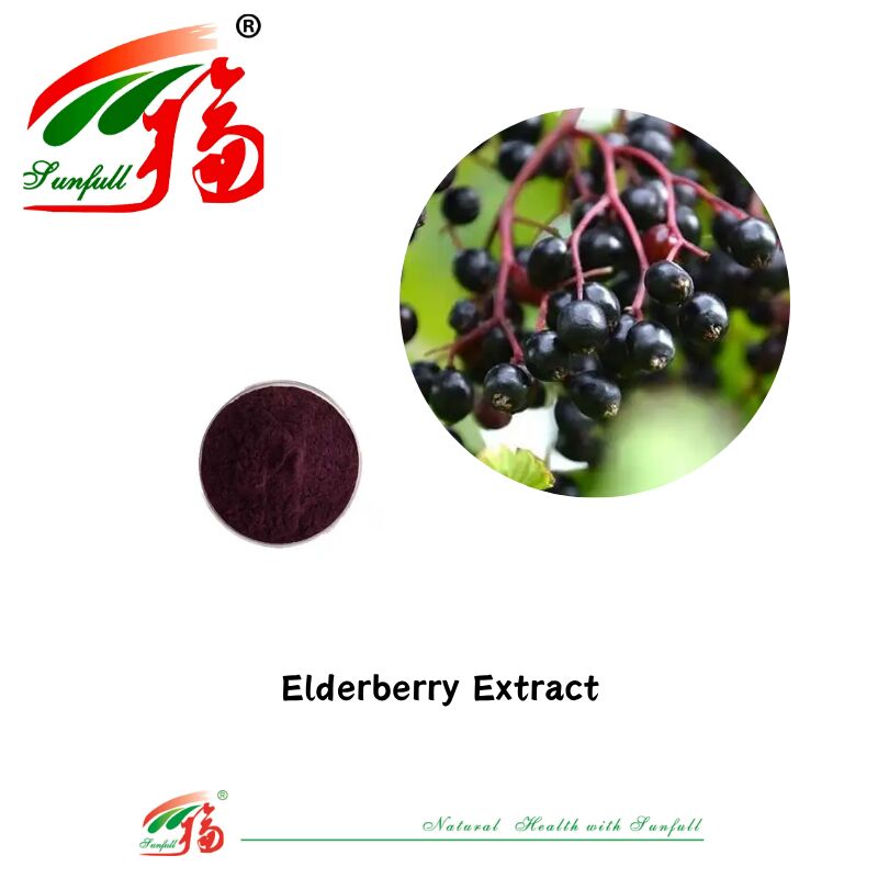 La fabbrica Hunan Sunfull fornisce antiossidanti naturali di alta qualità antociani 1%-25% estratto di mirtillo/sambuco/bacca di acai/ribes nero/mirtillo