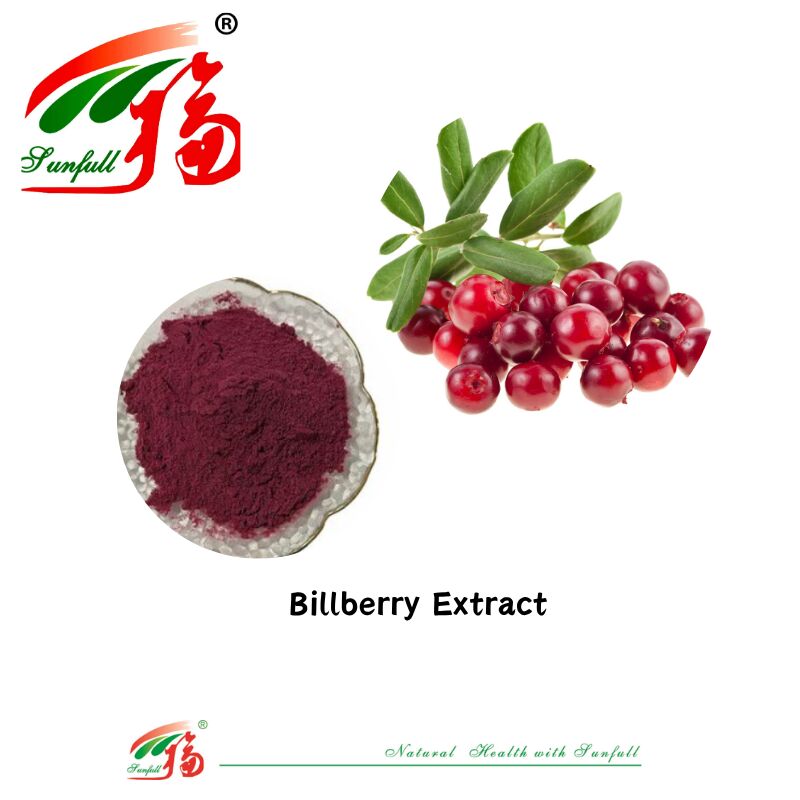 La fabbrica Hunan Sunfull fornisce antiossidanti naturali di alta qualità antociani 1%-25% estratto di mirtillo/sambuco/bacca di acai/ribes nero/mirtillo