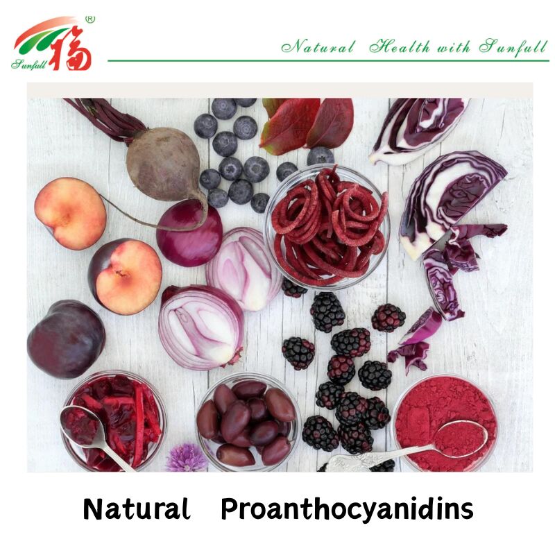 Fornitura di fabbrica Antiossidanti naturali di alta qualità 100% OPC Proantocianidina 95% Estratto di pelle di arachidi/corteccia di pino/cranberry/semi di uva
