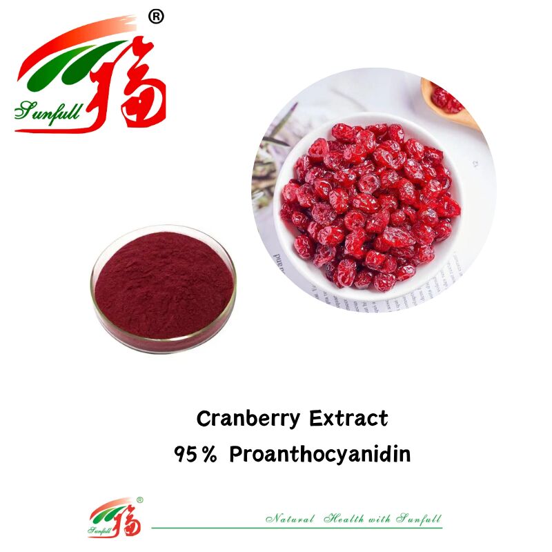 Fornitura di fabbrica Antiossidanti naturali di alta qualità 100% OPC Proantocianidina 95% Estratto di pelle di arachidi/corteccia di pino/cranberry/semi di uva