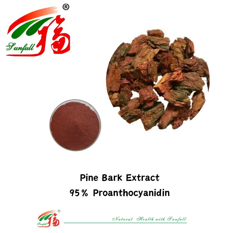 Fornitura di fabbrica Antiossidanti naturali di alta qualità 100% OPC Proantocianidina 95% Estratto di pelle di arachidi/corteccia di pino/cranberry/semi di uva