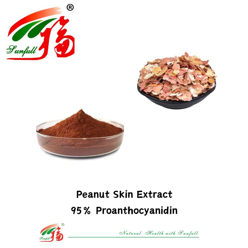 Fornitura di fabbrica Antiossidanti naturali di alta qualità 100% OPC Proantocianidina 95% Estratto di pelle di arachidi/corteccia di pino/cranberry/semi di uva