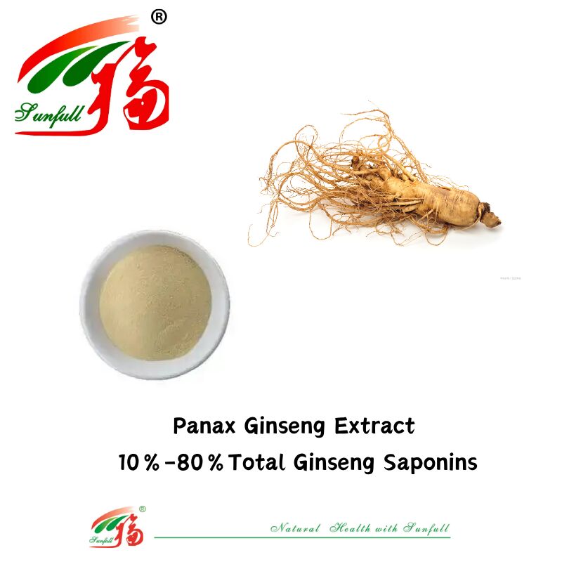 Sunfull Manufacturer campione gratuito Medicina tradizionale cinese HPLC organico 10% 80% Ginsenosidi Ginseng americano / Estratto di Ginseng coreano / Estratto di Ginseng Panax